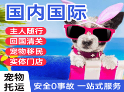 宜宾五粮液航空货运国际宠物托运 【国